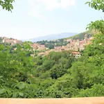 Il Giardino - Ciliegio *
