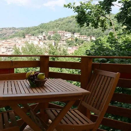 Il Giardino - Ciliegio Aritzo