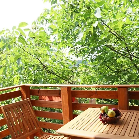 Il Giardino - Ciliegio شقة أريتزو