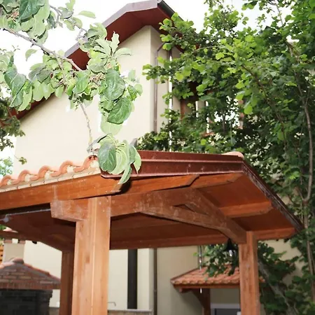 Il Giardino - Ciliegio Daire