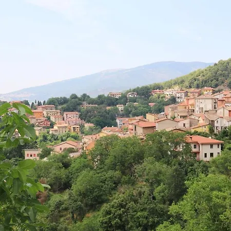 Il Giardino - Ciliegio Daire *